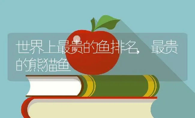 世界上最贵的鱼排名,最贵的熊猫鱼 | 养殖学堂