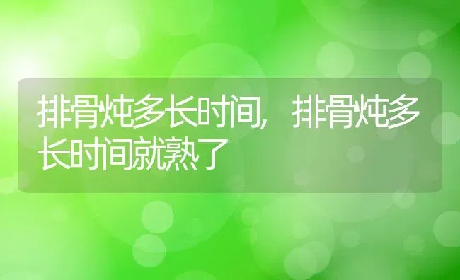 排骨炖多长时间,排骨炖多长时间就熟了 | 养殖科普