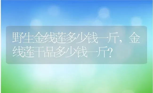 野生金线莲多少钱一斤,金线莲干品多少钱一斤？ | 养殖科普