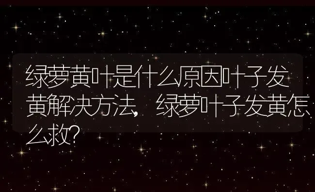 绿萝黄叶是什么原因叶子发黄解决方法,绿萝叶子发黄怎么救？ | 养殖科普