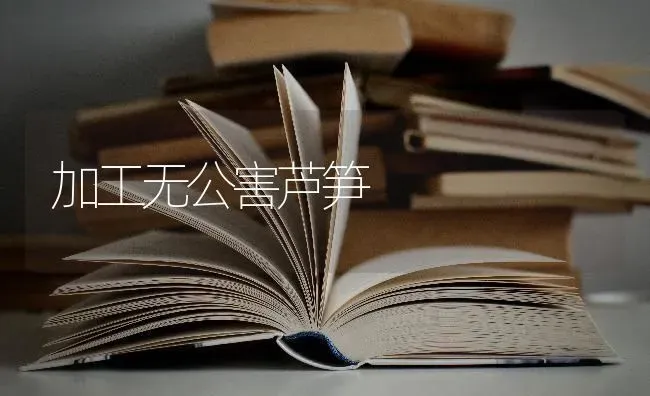 加工无公害芦笋 | 养殖知识