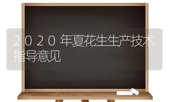 2020年夏花生生产技术指导意见 | 养殖技术大全