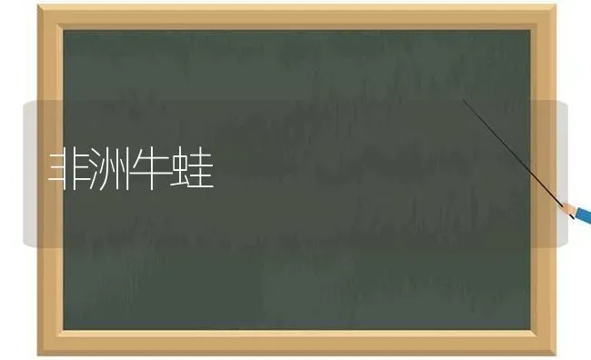 非洲牛蛙 | 养殖技术大全