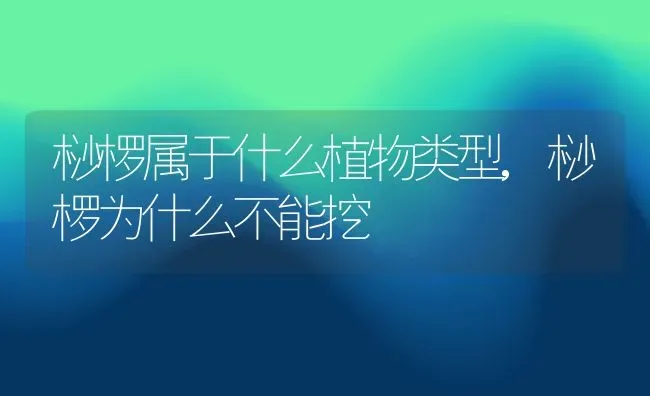 桫椤属于什么植物类型,桫椤为什么不能挖 | 养殖学堂