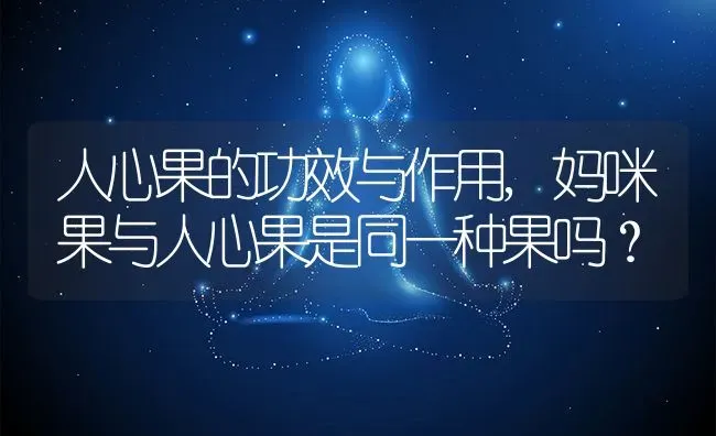 人心果的功效与作用,妈咪果与人心果是同一种果吗？ | 养殖科普