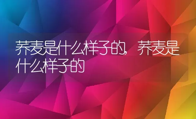 荞麦是什么样子的,荞麦是什么样子的 | 养殖科普