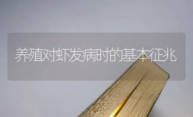 养殖对虾发病时的基本征兆 | 养殖知识