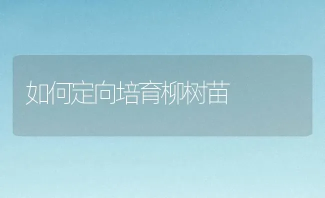 如何定向培育柳树苗 | 养殖知识