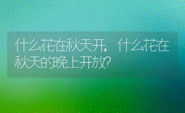 什么花在秋天开,什么花在秋天的晚上开放？ | 养殖科普