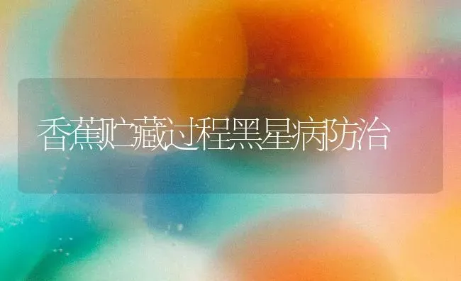 香蕉贮藏过程黑星病防治 | 养殖知识