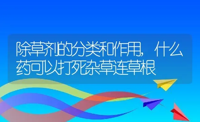 除草剂的分类和作用,什么药可以打死杂草连草根 | 养殖学堂