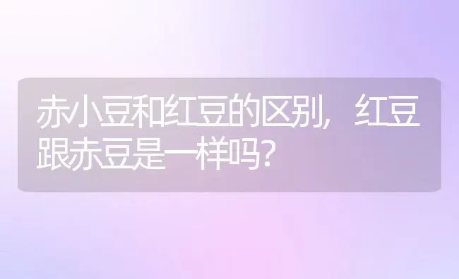赤小豆和红豆的区别,红豆跟赤豆是一样吗？ | 养殖科普