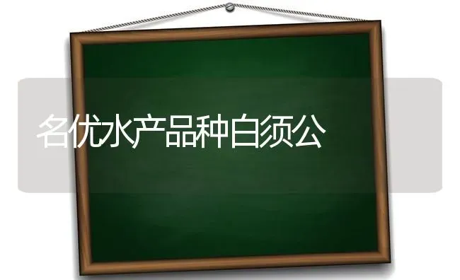 名优水产品种白须公 | 养殖知识