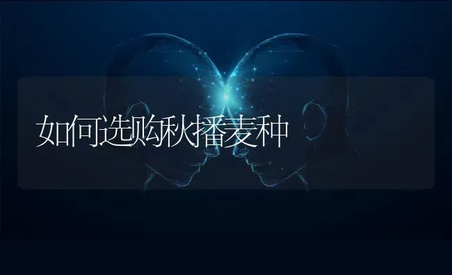 如何选购秋播麦种 | 养殖知识