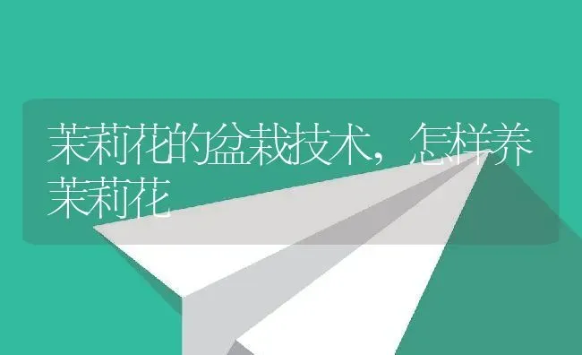 茭白长什么样子,茭白是细的好吃还是粗的好吃 | 养殖学堂