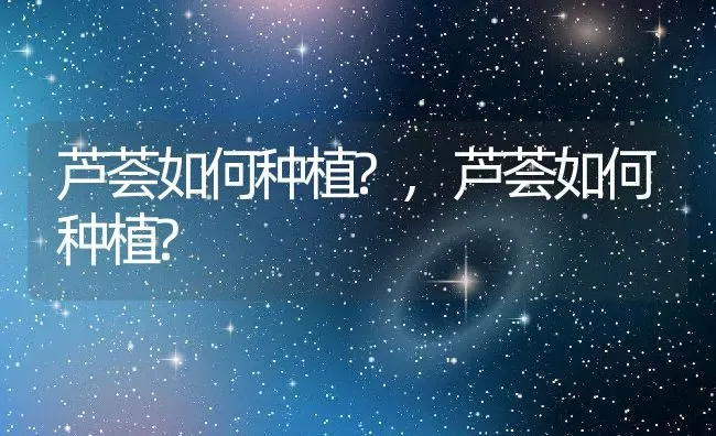 芦荟如何种植?,芦荟如何种植? | 养殖科普