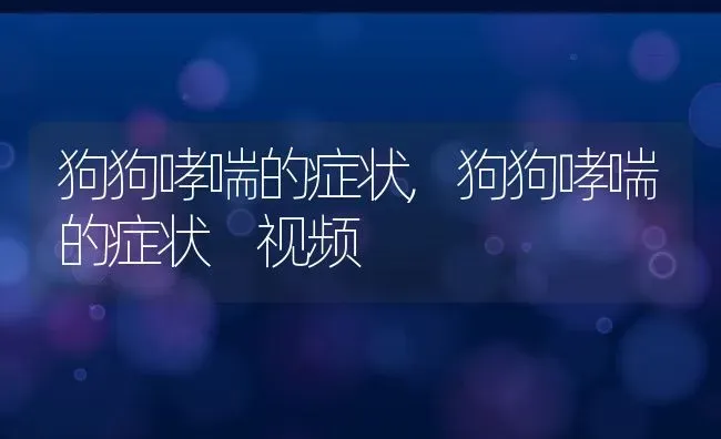 狗狗哮喘的症状,狗狗哮喘的症状 视频 | 养殖资料