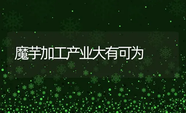 魔芋加工产业大有可为 | 养殖技术大全