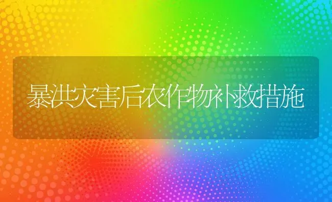 暴洪灾害后农作物补救措施 | 养殖技术大全