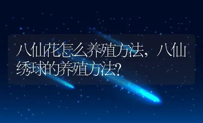 土薄荷可以水培吗水培薄荷的养殖方法,薄荷直接在水里养可以吗？ | 养殖科普
