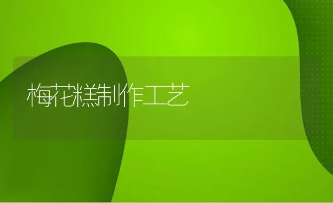 梅花糕制作工艺 | 养殖技术大全