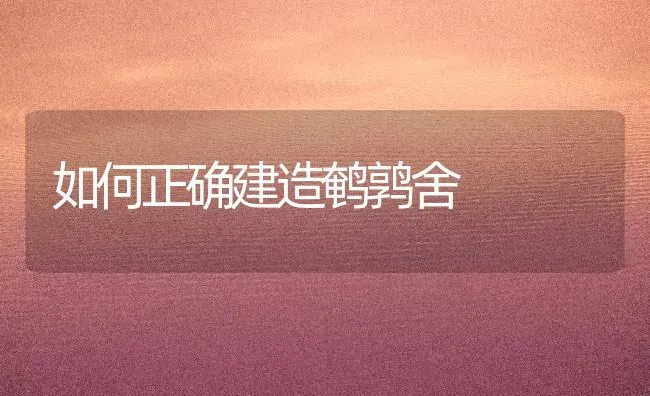 如何正确建造鹌鹑舍 | 养殖知识