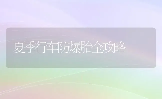 夏季行车防爆胎全攻略 | 养殖技术大全