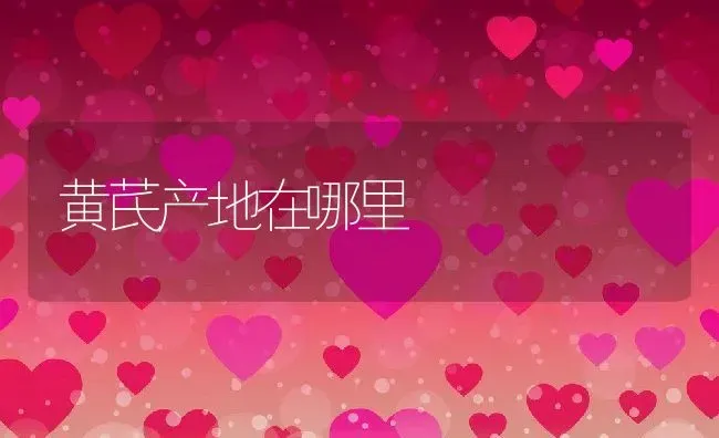 黄芪产地在哪里 | 养殖学堂