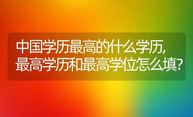 中国学历最高的什么学历,最高学历和最高学位怎么填？ | 养殖科普