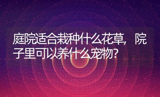 庭院适合栽种什么花草,院子里可以养什么宠物？ | 养殖科普