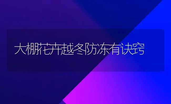 大棚花卉越冬防冻有诀窍 | 养殖技术大全