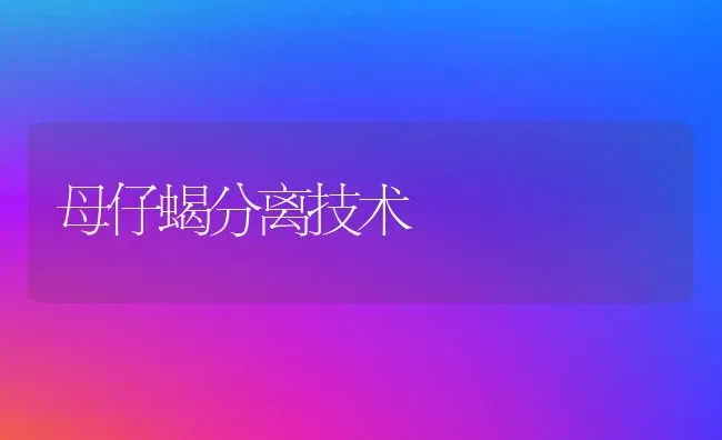 母仔蝎分离技术 | 养殖知识