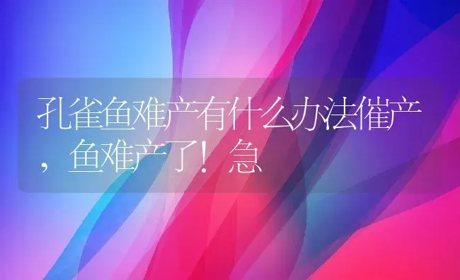 孔雀鱼难产有什么办法催产,鱼难产了！急 | 养殖学堂