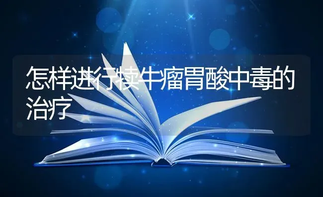 怎样进行犊牛瘤胃酸中毒的治疗 | 养殖技术大全