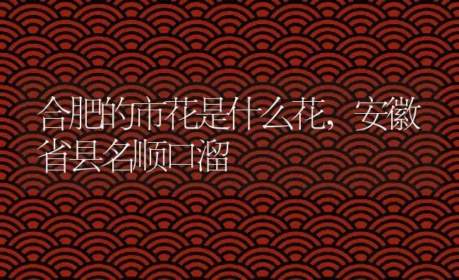 合肥的市花是什么花,安徽省县名顺口溜 | 养殖学堂