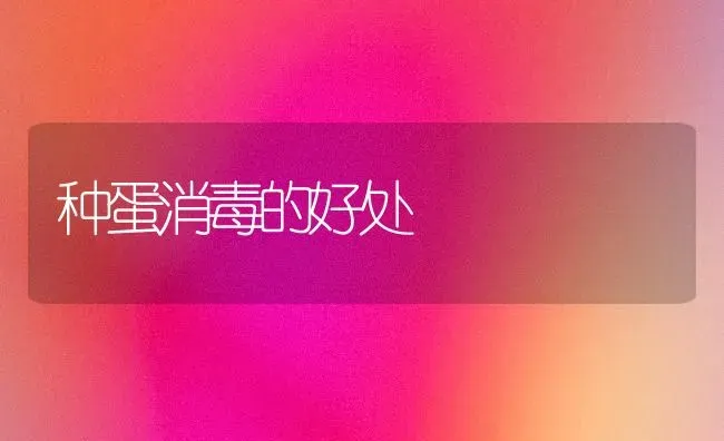 甘蔗白蚁的危害和防治方法 | 养殖知识
