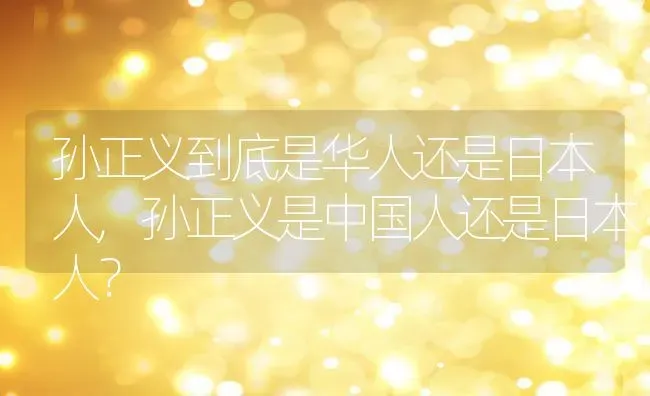孙正义到底是华人还是日本人,孙正义是中国人还是日本人？ | 养殖科普