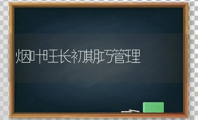烟叶旺长初期巧管理 | 养殖知识