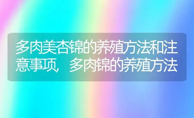 多肉美杏锦的养殖方法和注意事项,多肉锦的养殖方法 | 养殖学堂