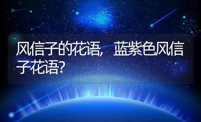 风信子的花语,蓝紫色风信子花语？ | 养殖科普