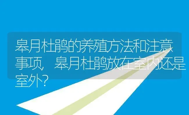 皋月杜鹃的养殖方法和注意事项,皋月杜鹃放在室内还是室外？ | 养殖科普