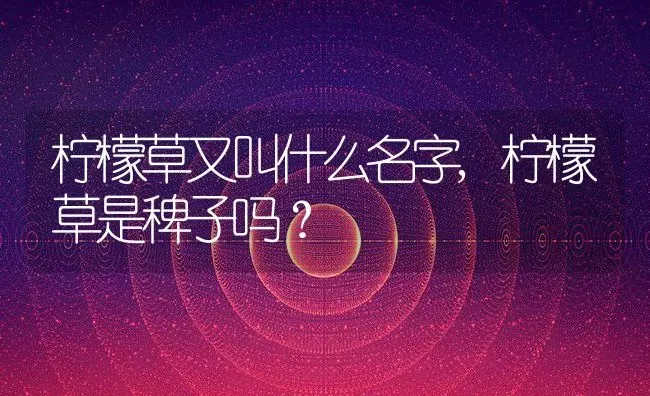 柠檬草又叫什么名字,柠檬草是稗子吗？ | 养殖科普