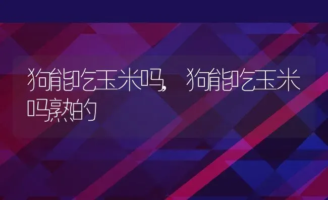 狗能吃玉米吗,狗能吃玉米吗熟的 | 养殖资料