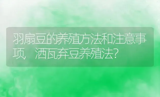 羽扇豆的养殖方法和注意事项,洒瓦弃豆养殖法？ | 养殖科普