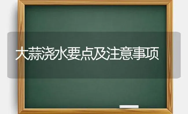 大蒜浇水要点及注意事项 | 养殖技术大全