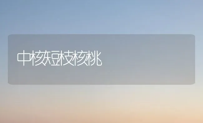 中核短枝核桃 | 养殖知识