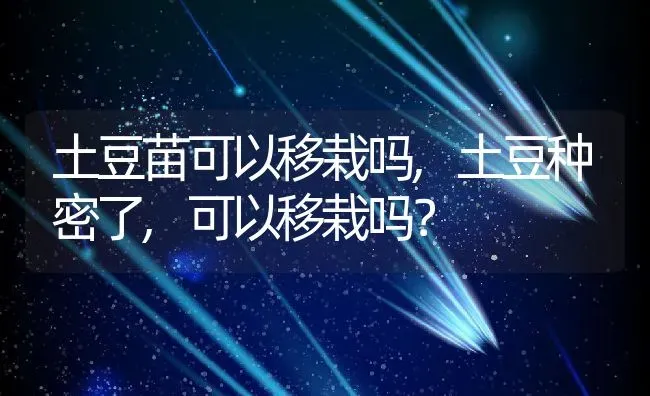 土豆苗可以移栽吗,土豆种密了,可以移栽吗？ | 养殖科普