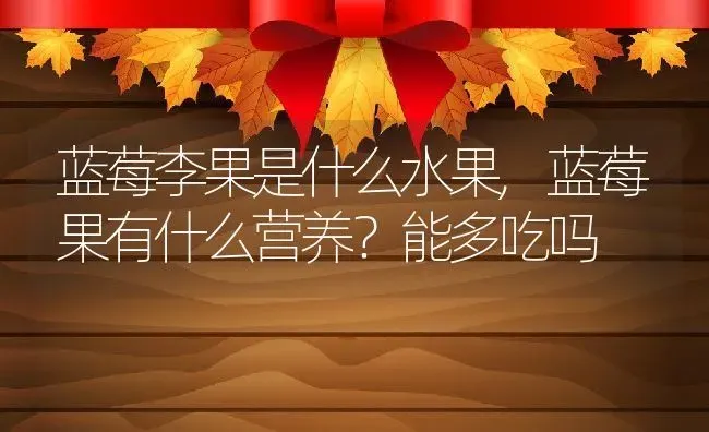 蓝莓李果是什么水果,蓝莓果有什么营养？能多吃吗 | 养殖学堂
