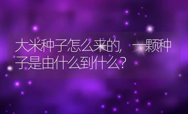 大米种子怎么来的,一颗种子是由什么到什么？ | 养殖科普
