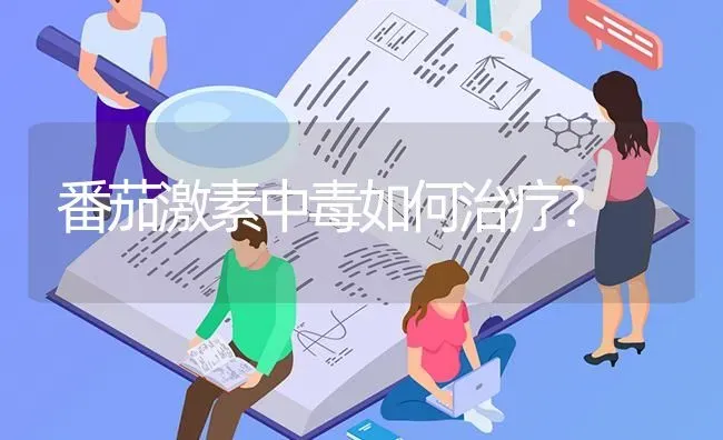 番茄激素中毒如何治疗? | 养殖知识